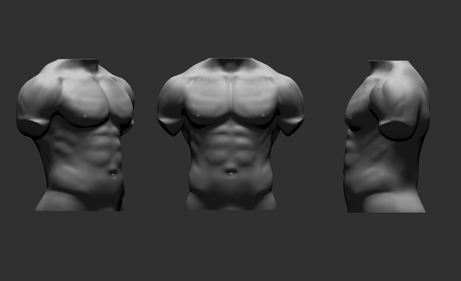 male torso reference