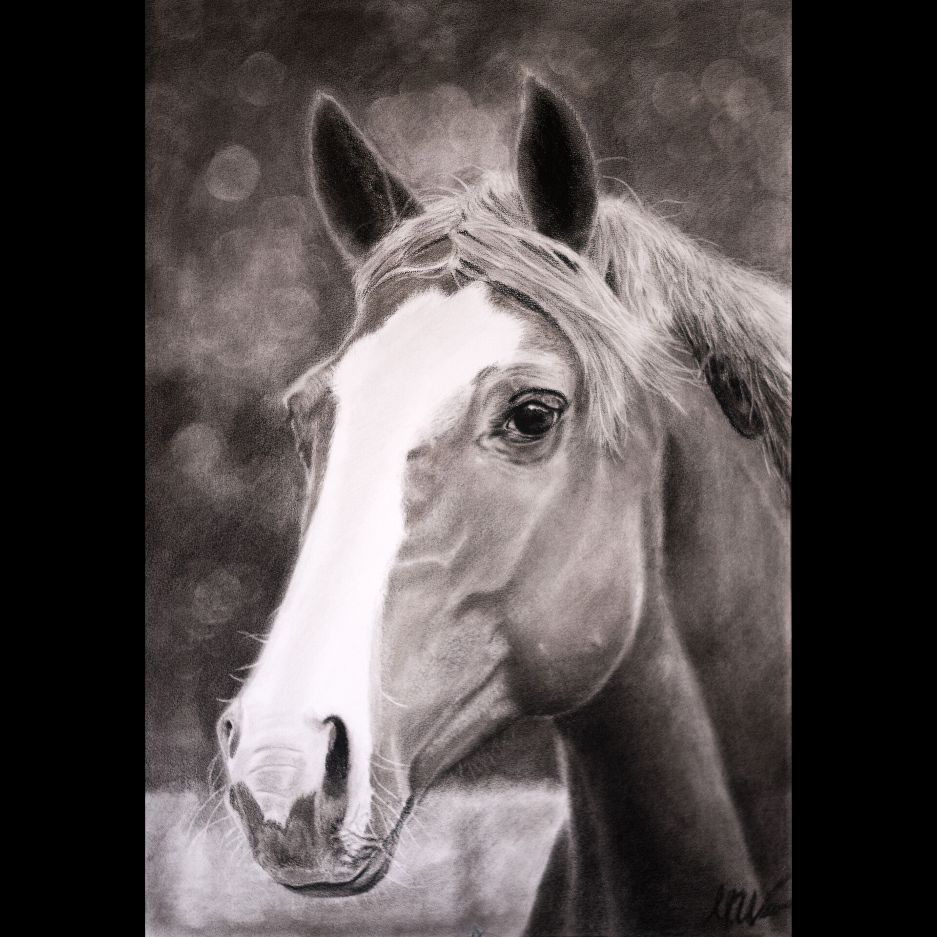 ArtStation - Charcoal drawing of a Peruvian Paso Horse