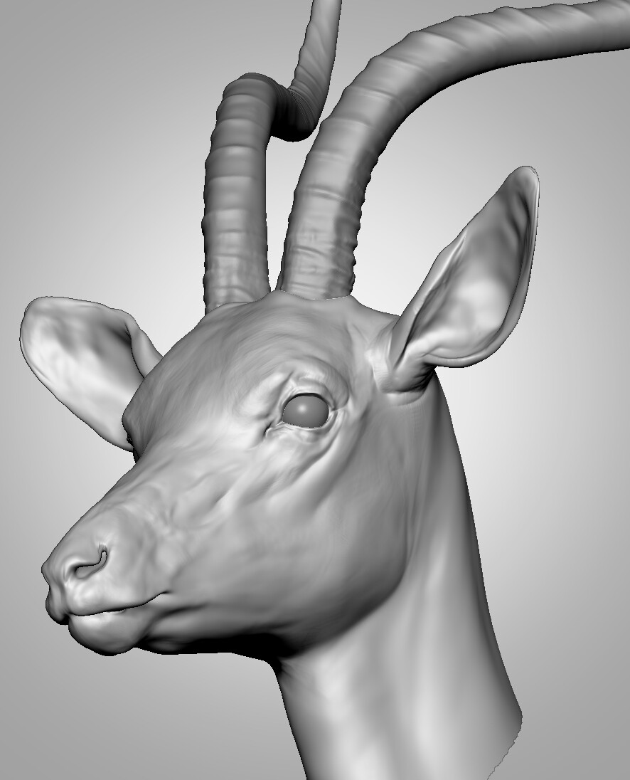 ArtStation - Antelope - Head