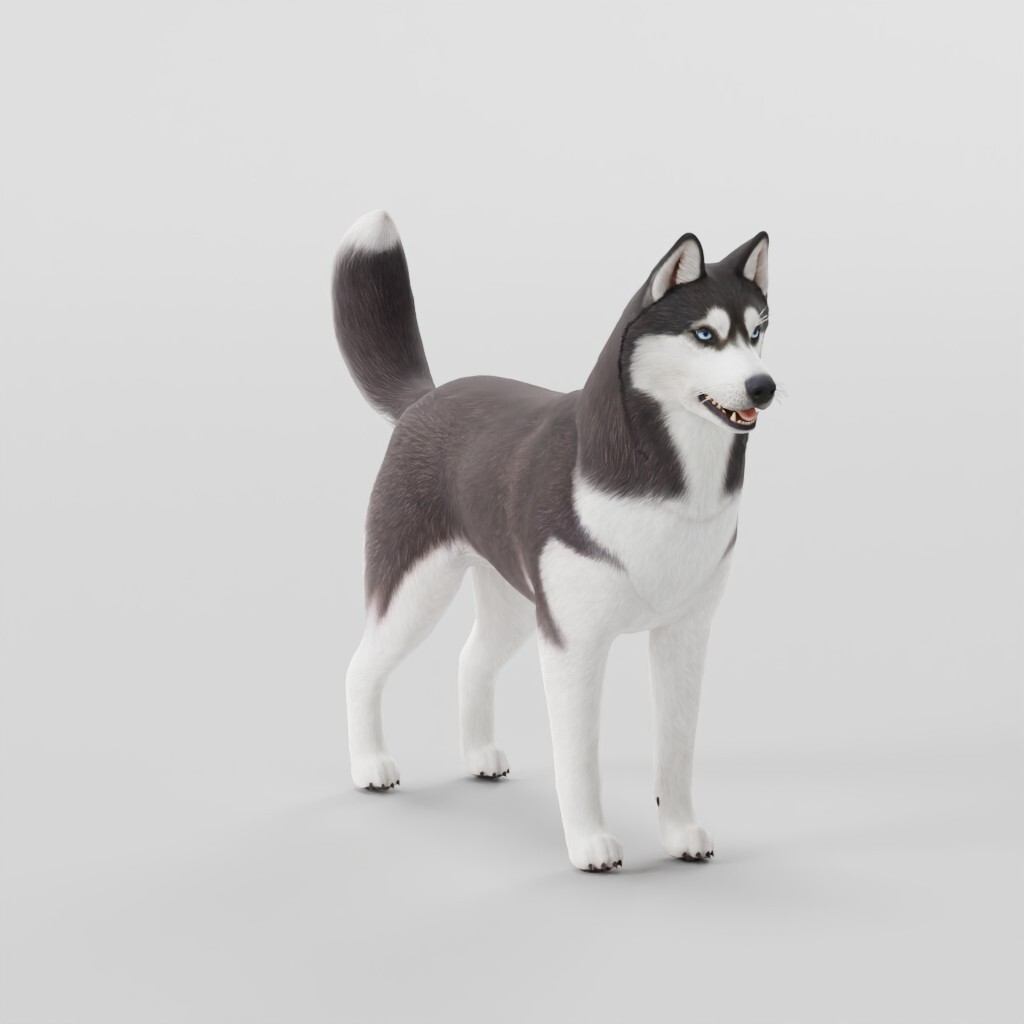 ArtStation - Husky