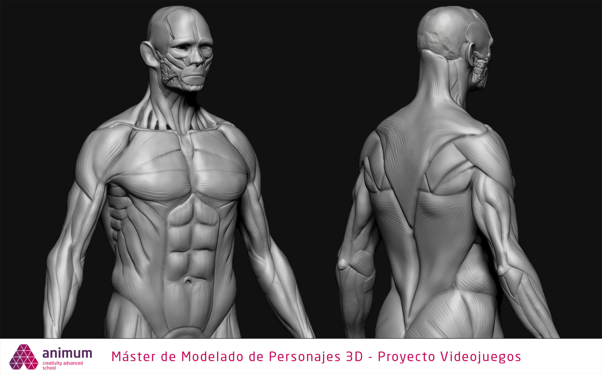 ArtStation - Modelado de Personajes 3d, Estudio Anatomico