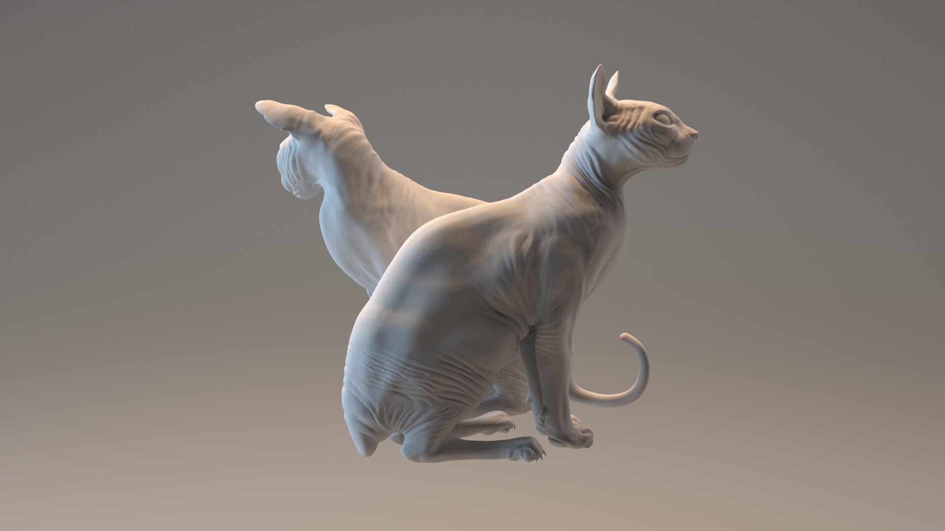 ArtStation - Sphynx Cats