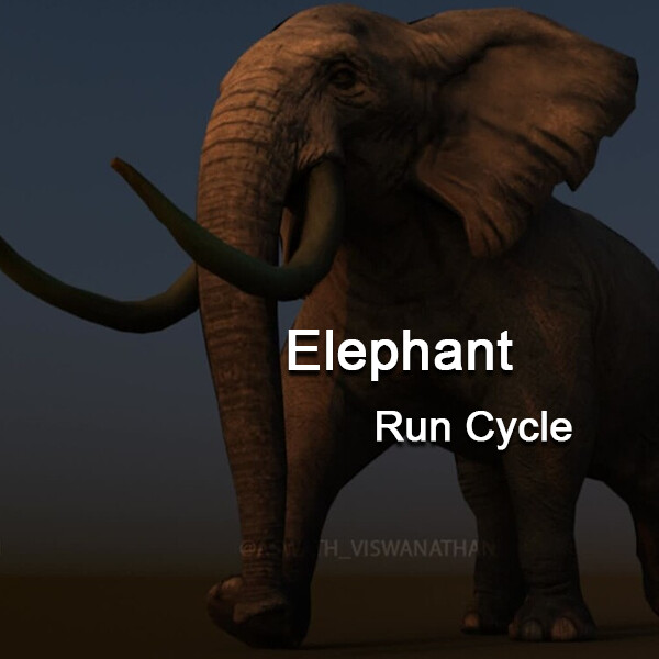 ArtStation Elephant Run Cycle