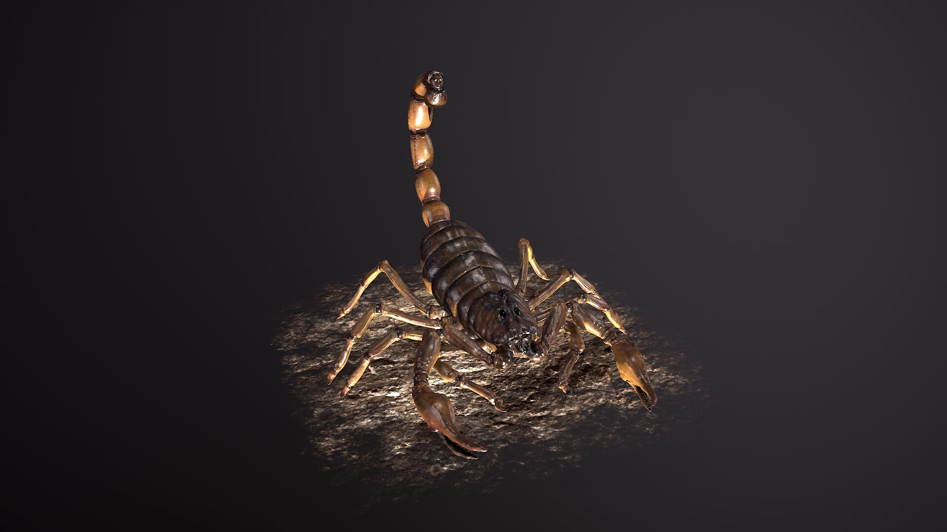 ArtStation Deathstalker Scorpion   Maria Petre Maria Petre Scorp Fullquality 001 00 00 00 17 Still001 