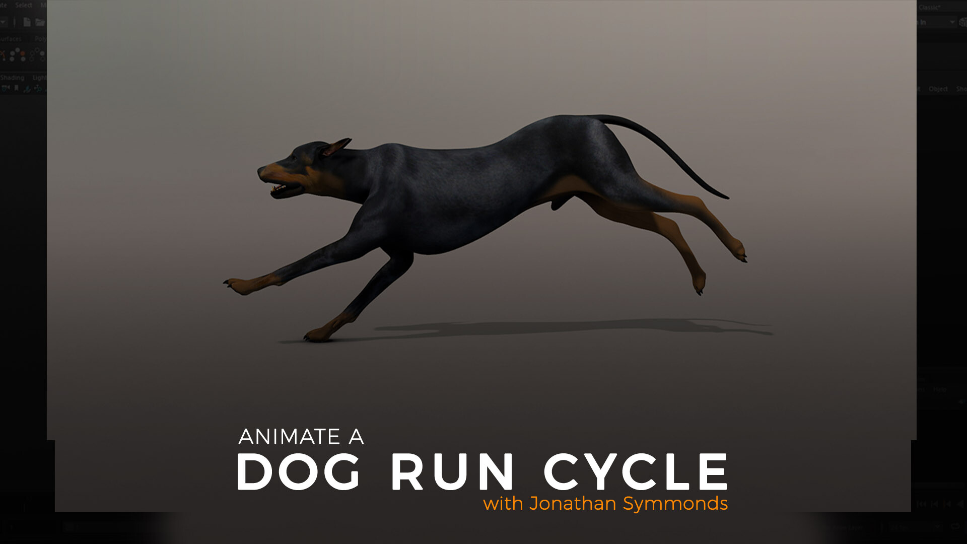 ArtStation Animate a Dog Run Cycle