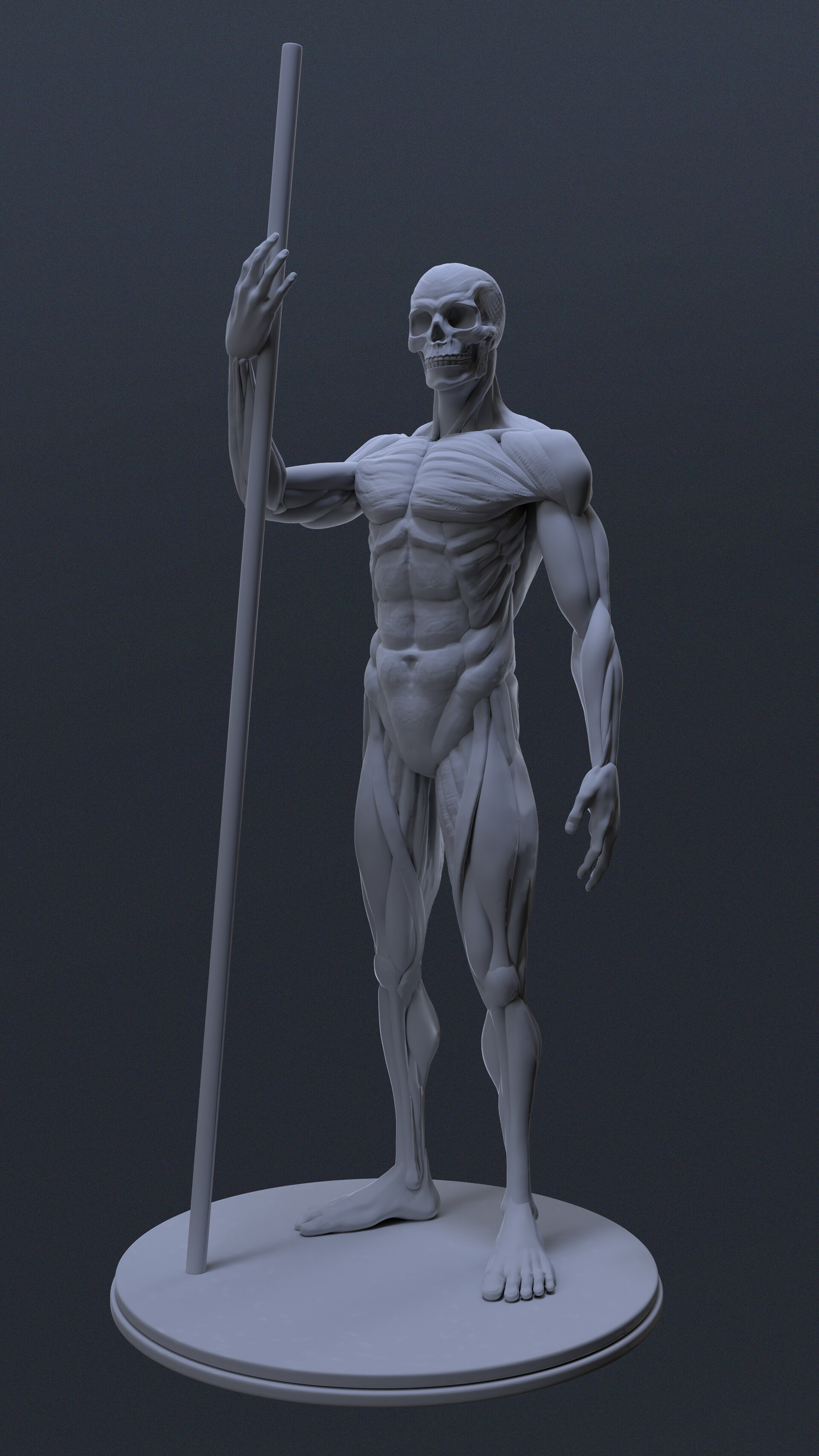 ArtStation - Anatomy Study