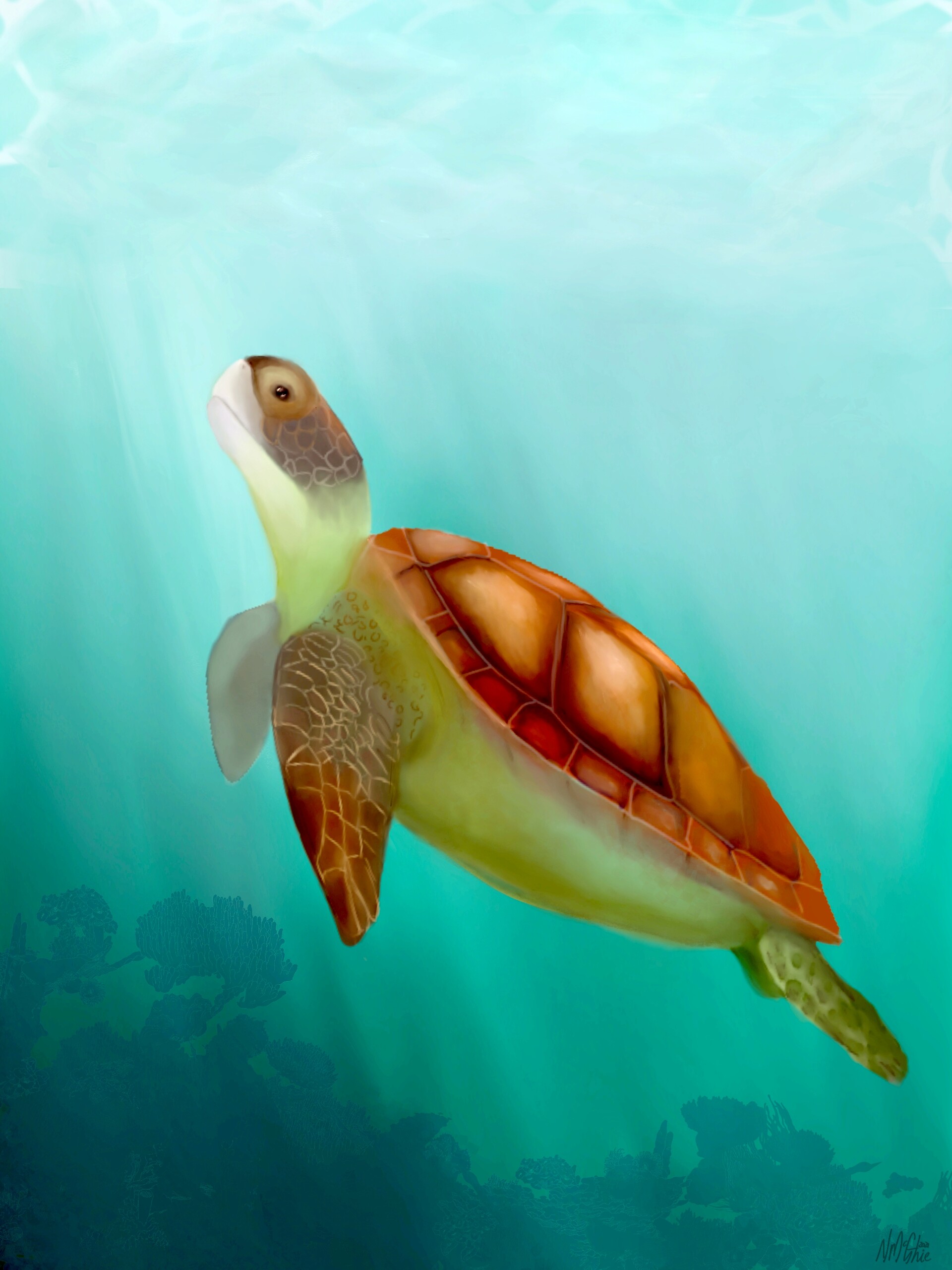 ArtStation - Sea Turtle Animation