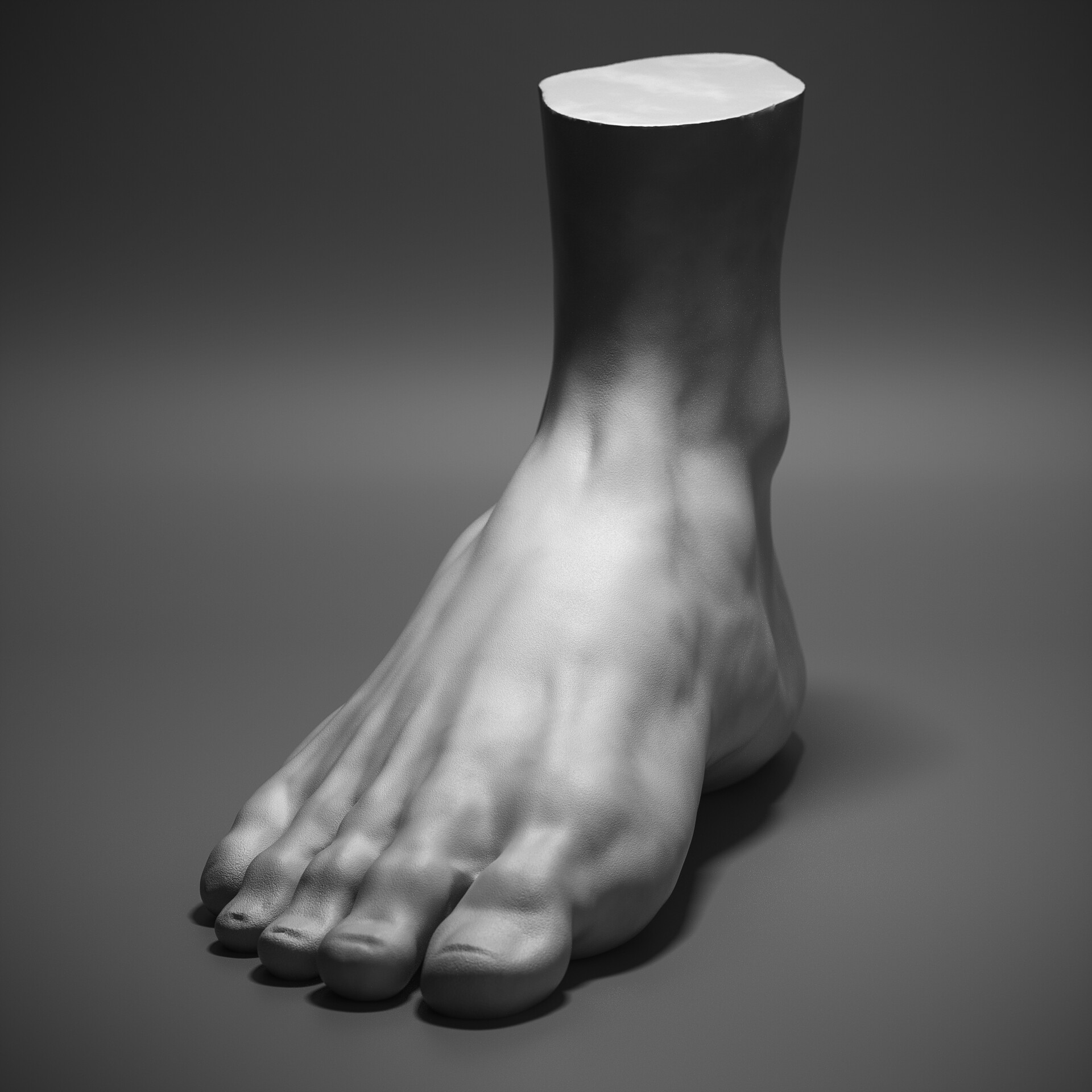 ArtStation - Foot - Sculpt
