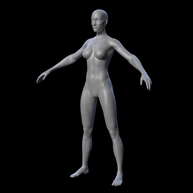 Female basemesh anatomy sculpt