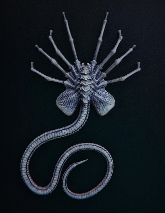 ArtStation Facehugger Sketch