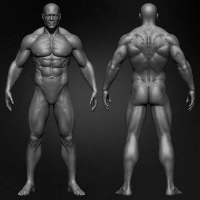 Yacine brinis yacine brinis muscular male anatomy 3d character sculpted by yacine brinis 017