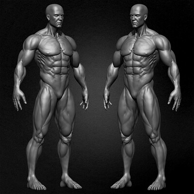 Yacine brinis yacine brinis muscular male anatomy volume 2 3d character sculpted by yacine brinis 017