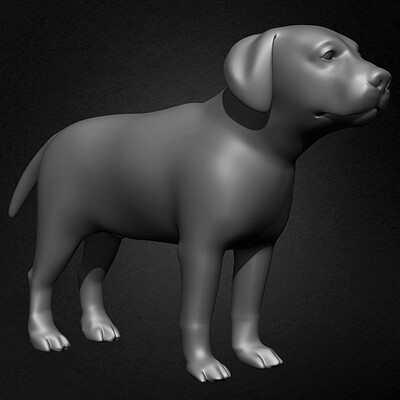 Yacine brinis yacine brinis dog basemesh 3d model sculpted by yacine brinis