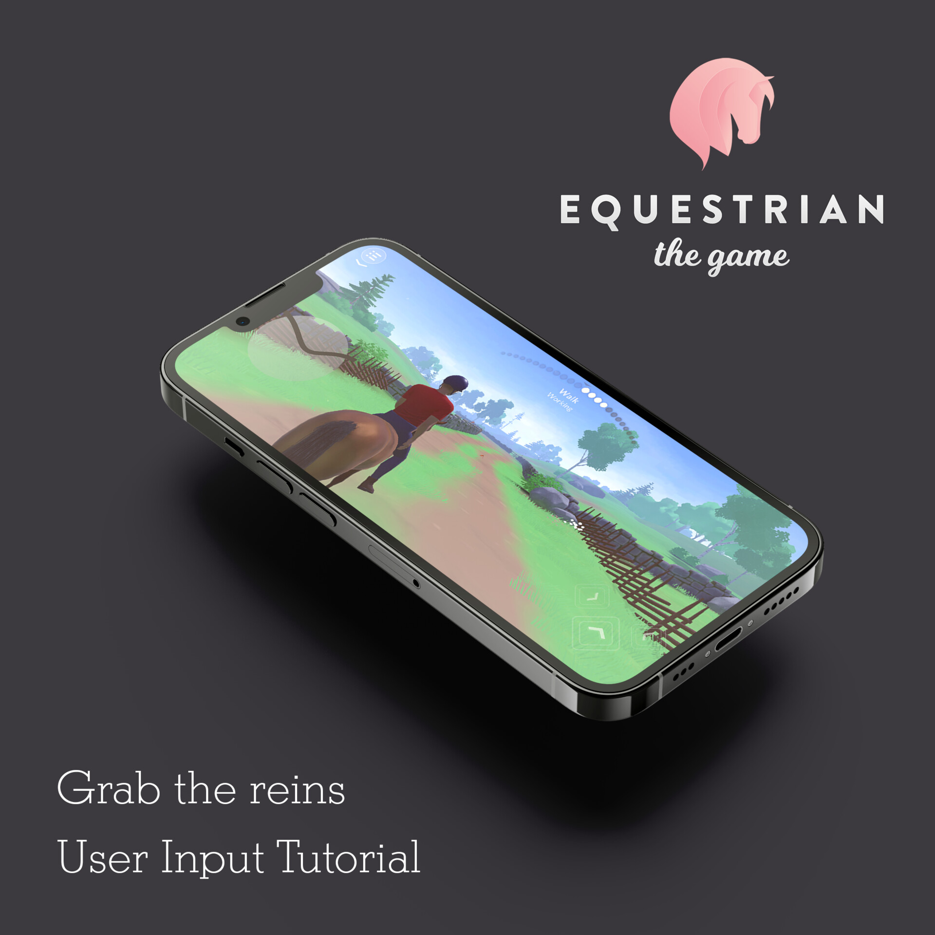ArtStation Equestrian the Game Grab the reins. Mobile Device User Input Instructions