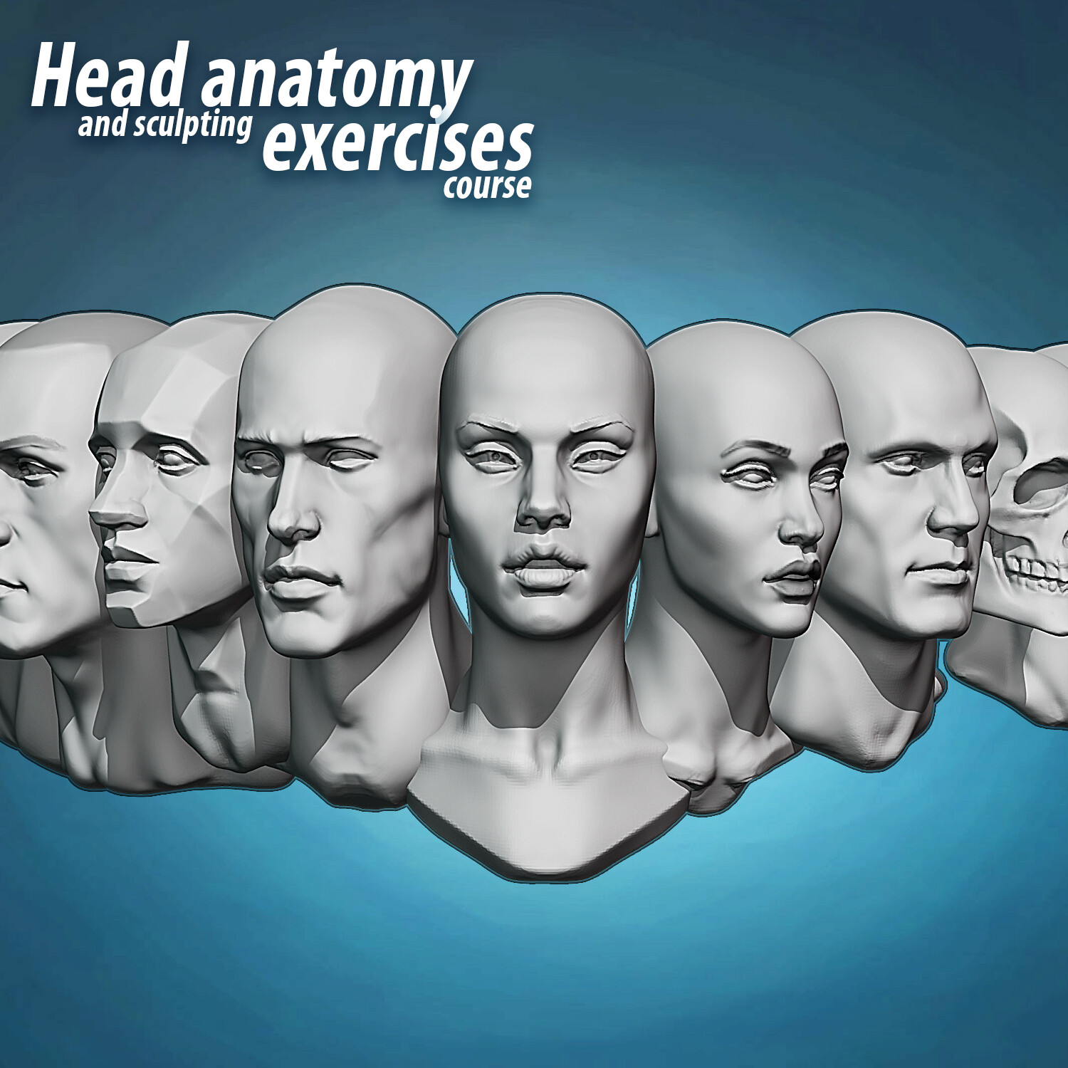 ArtStation - Head anatomy and sculpting exercises course