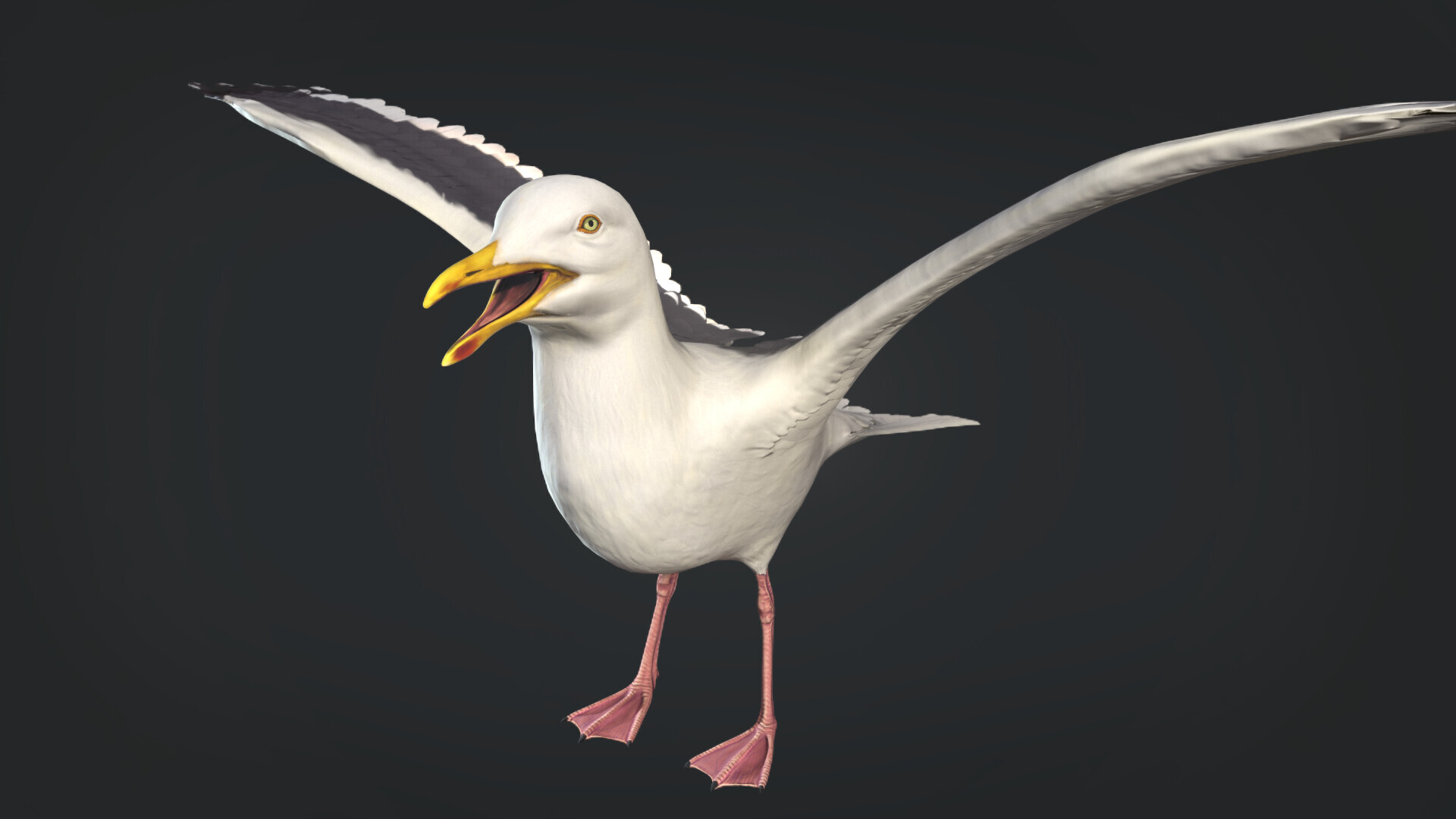 ArtStation - Seagull