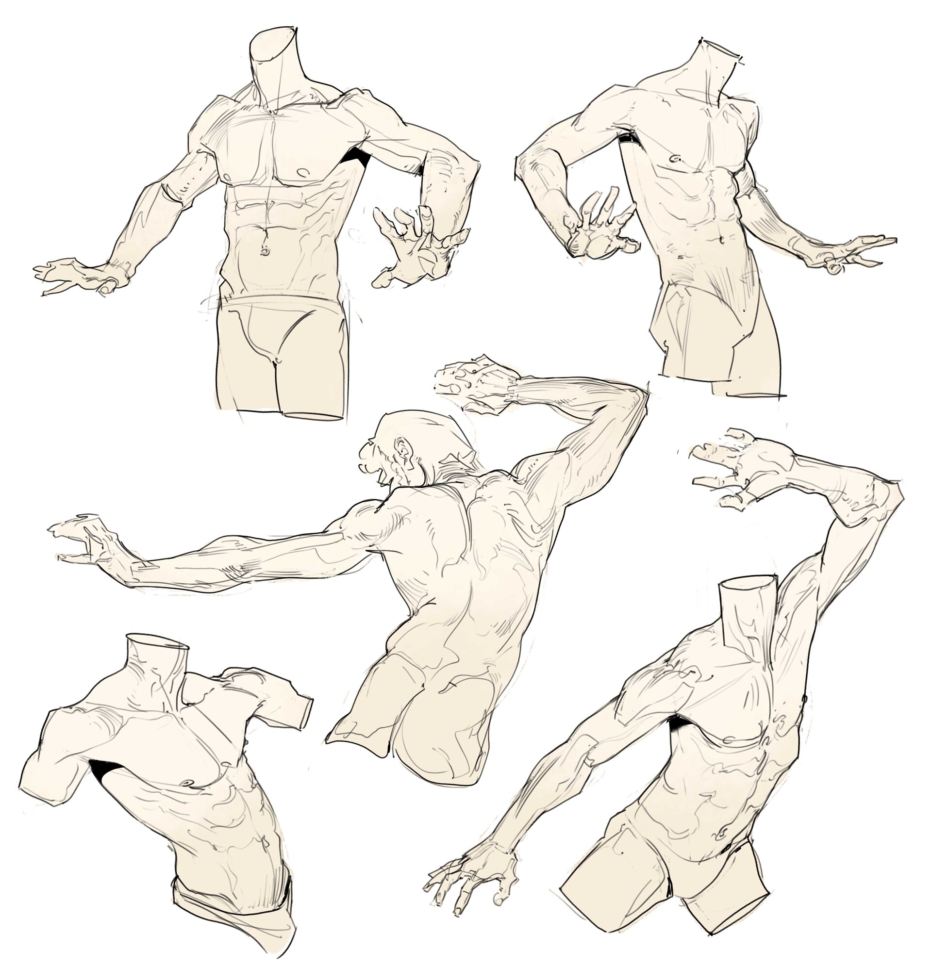 Some study <b>drawings</b> I&#39;ve been doing over the last couple months, fi...