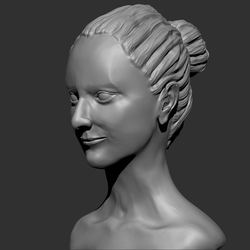 feminine bust