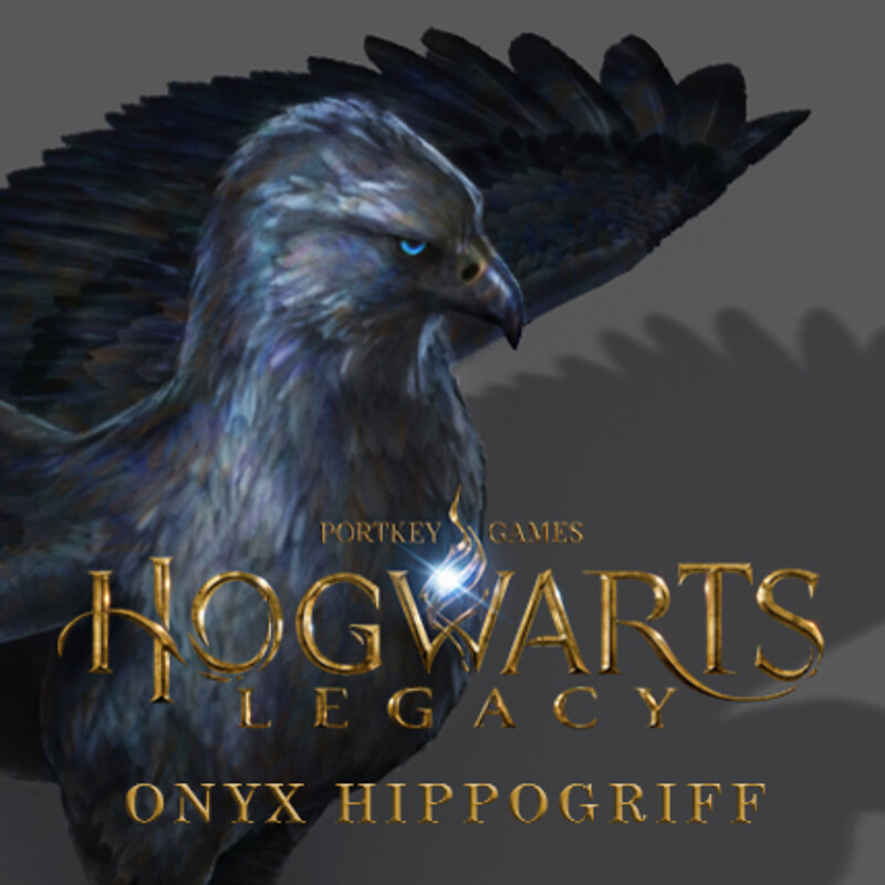 Onyx Hippogriff Color Concepts
