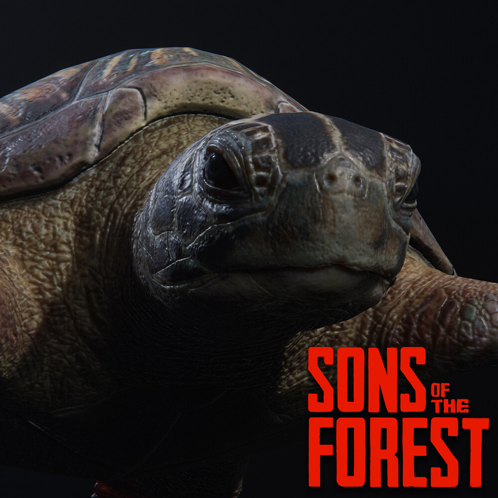 Sons of the Forest: What Do Turtle Shells Do? - Cultured Vultures