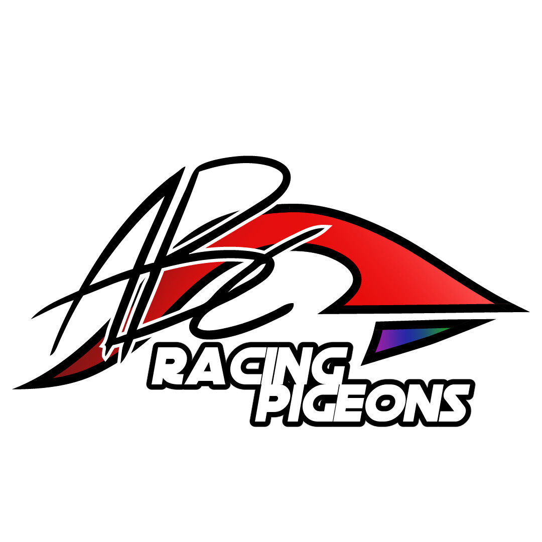 ArtStation - ABC Racing Pigeons Logo