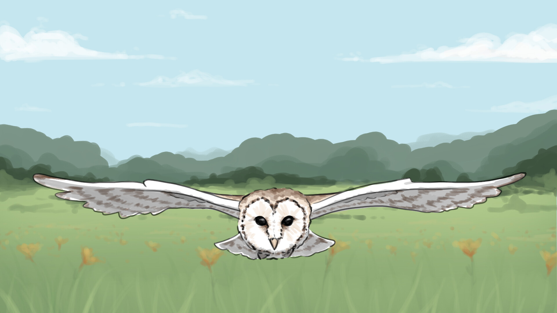 flying cycle