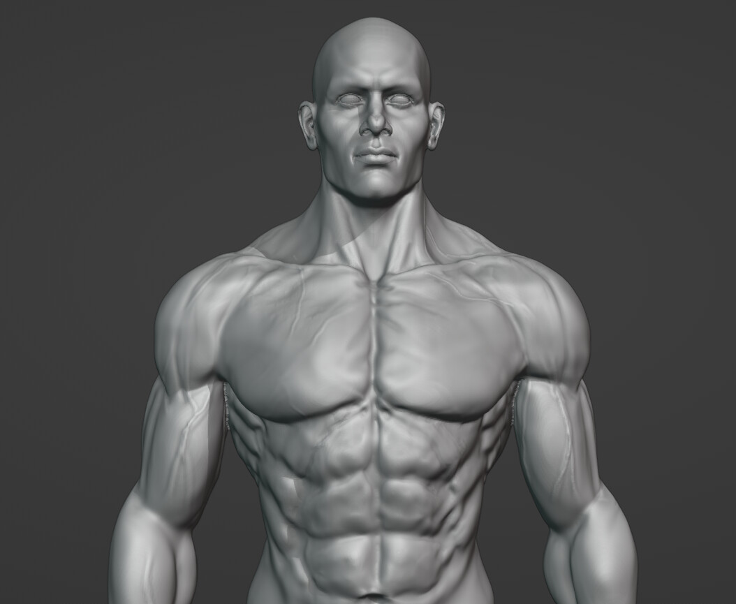 ArtStation - Character Anatomy Learning