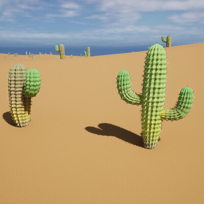 Houdini: Cactus Generator