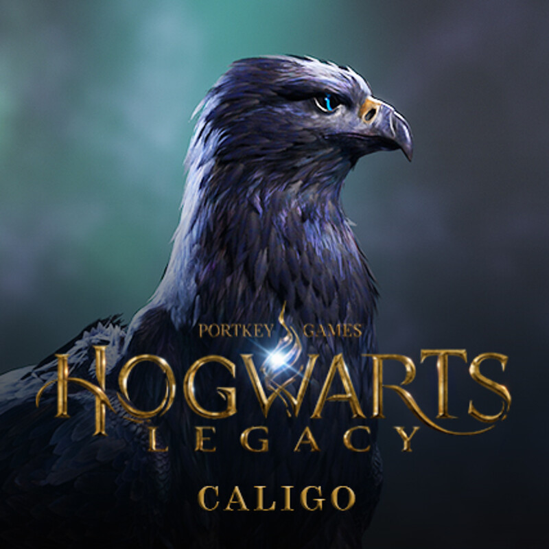 Hogwarts Legacy - Onyx Hippogriff Caligo