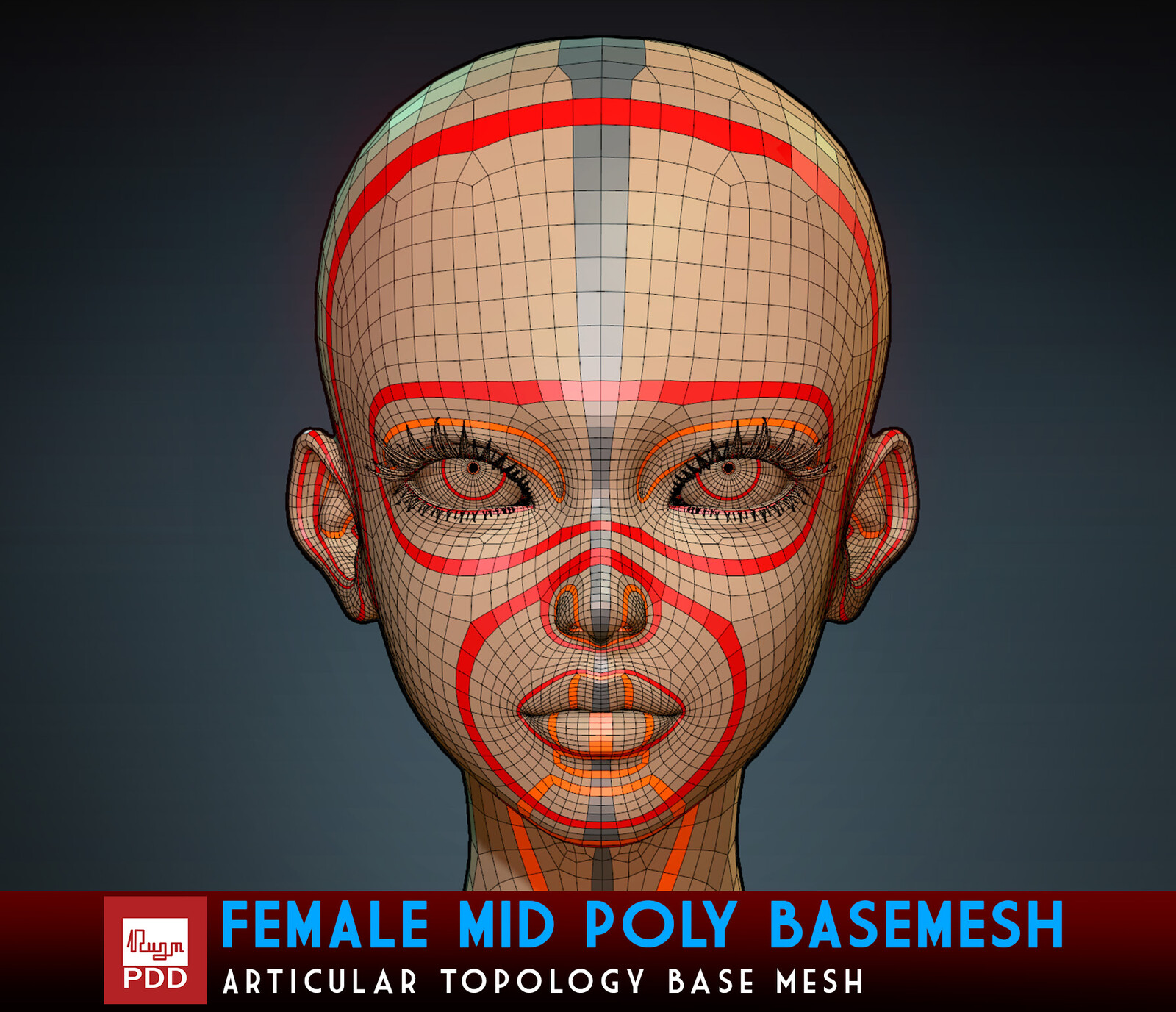 Female Mid Poly Base Mesh