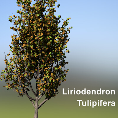Remco liqui lung remco liqui lung liriodendron tulipifera cover img