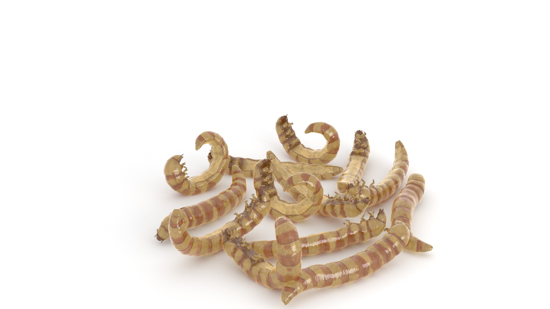 ArtStation What Do Mealworms Taste Like?