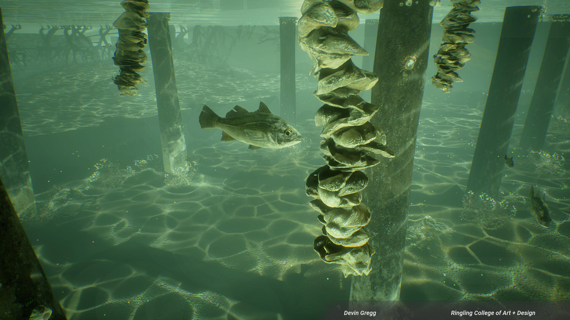 Devin Gregg VR Experience about Vertical Oyster Gardens
