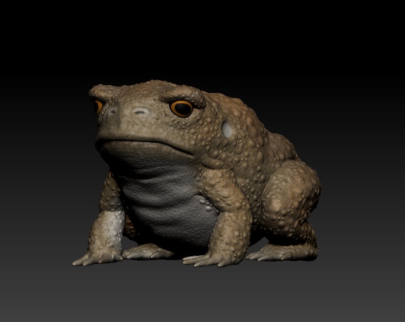 ArtStation - Realistic Toad