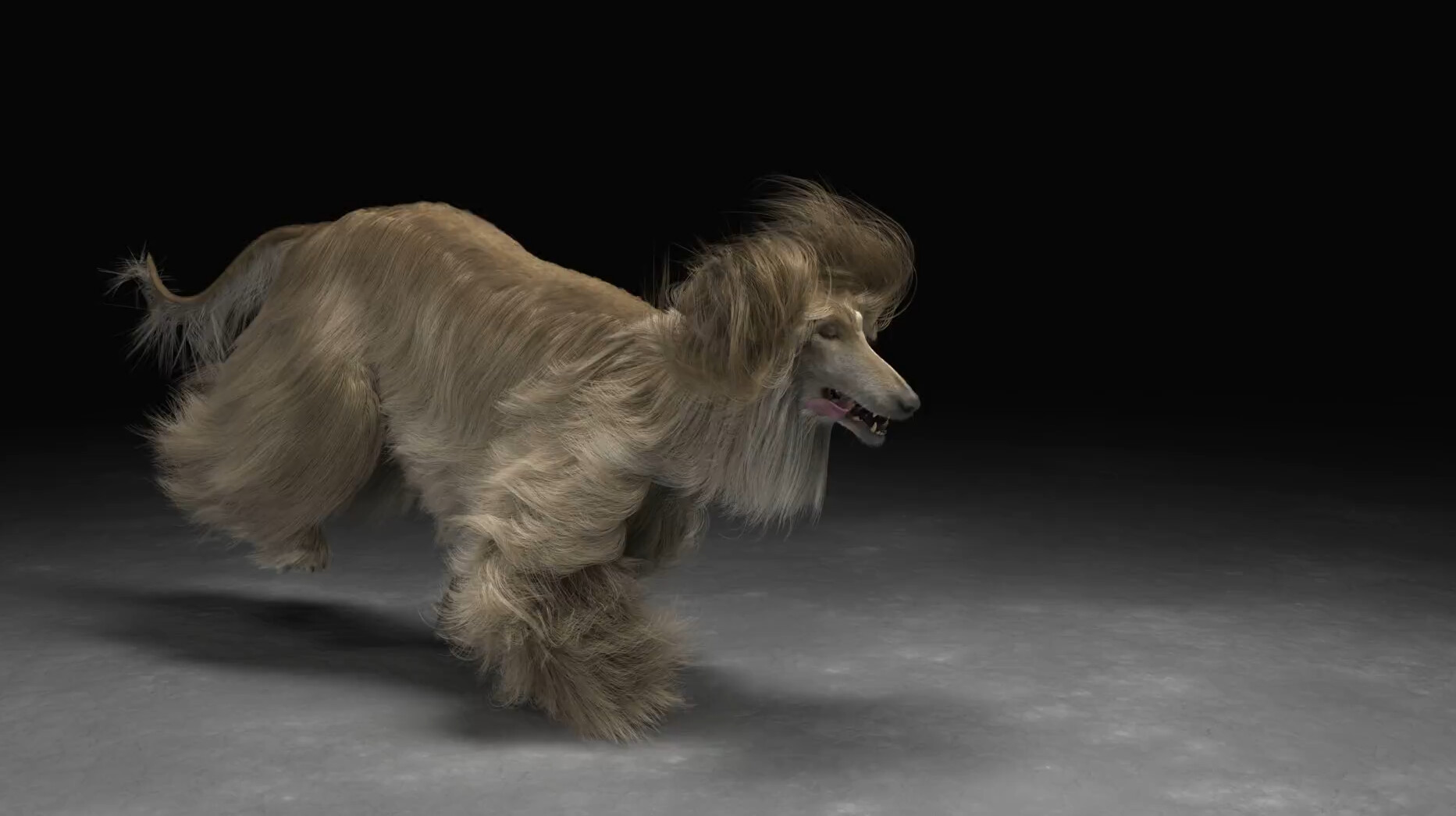 ArtStation Afgan Hound Vellum Hair simulation