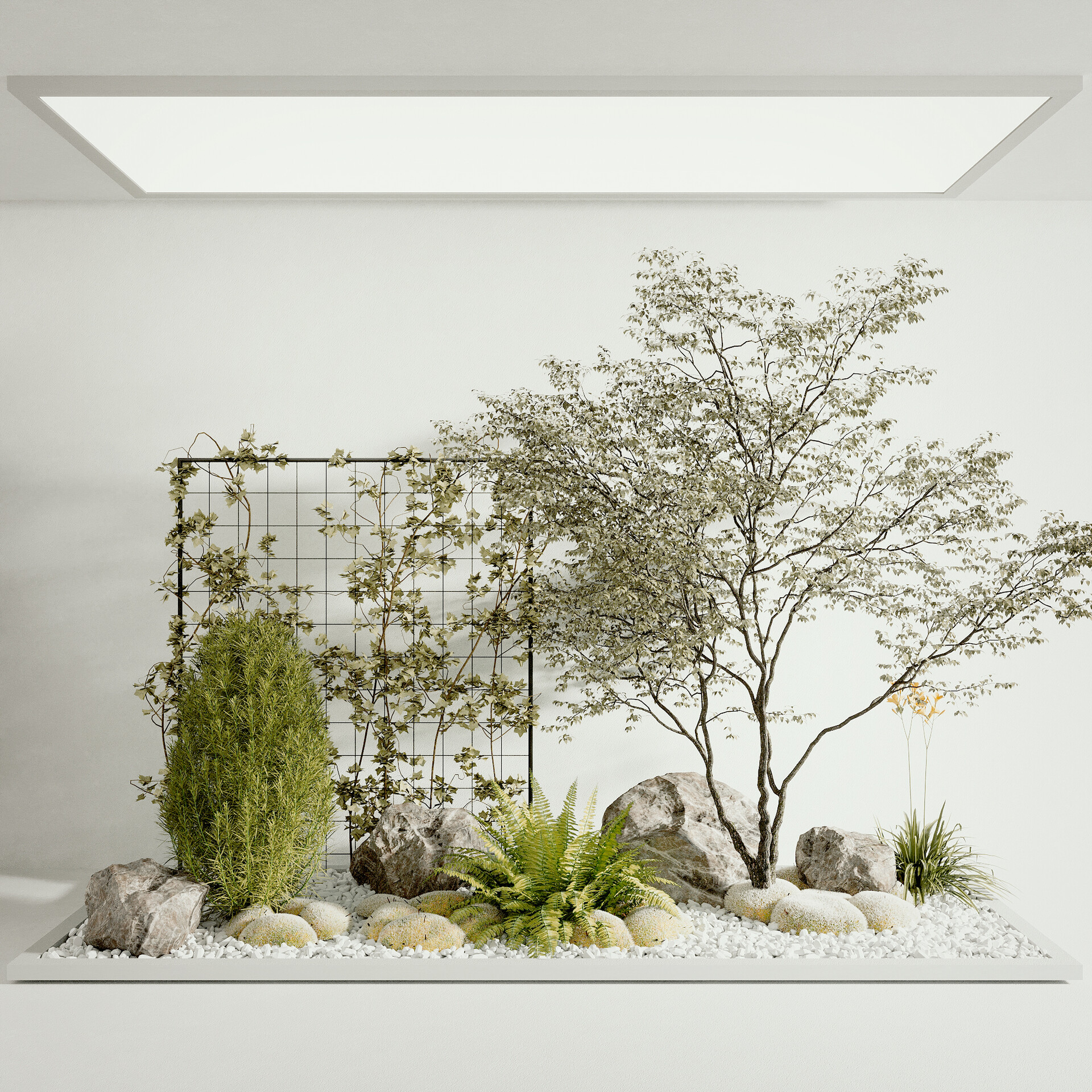 Garden plants 02 ( 3Ds MAX - Blender - Cinema4D - FBX - OBJ )