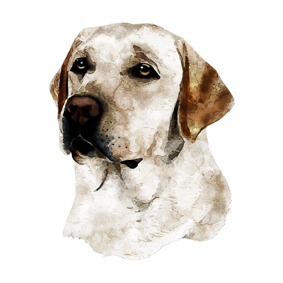 ArtStation Yellow Labrador Retriever Watercolor Painting Portrait
