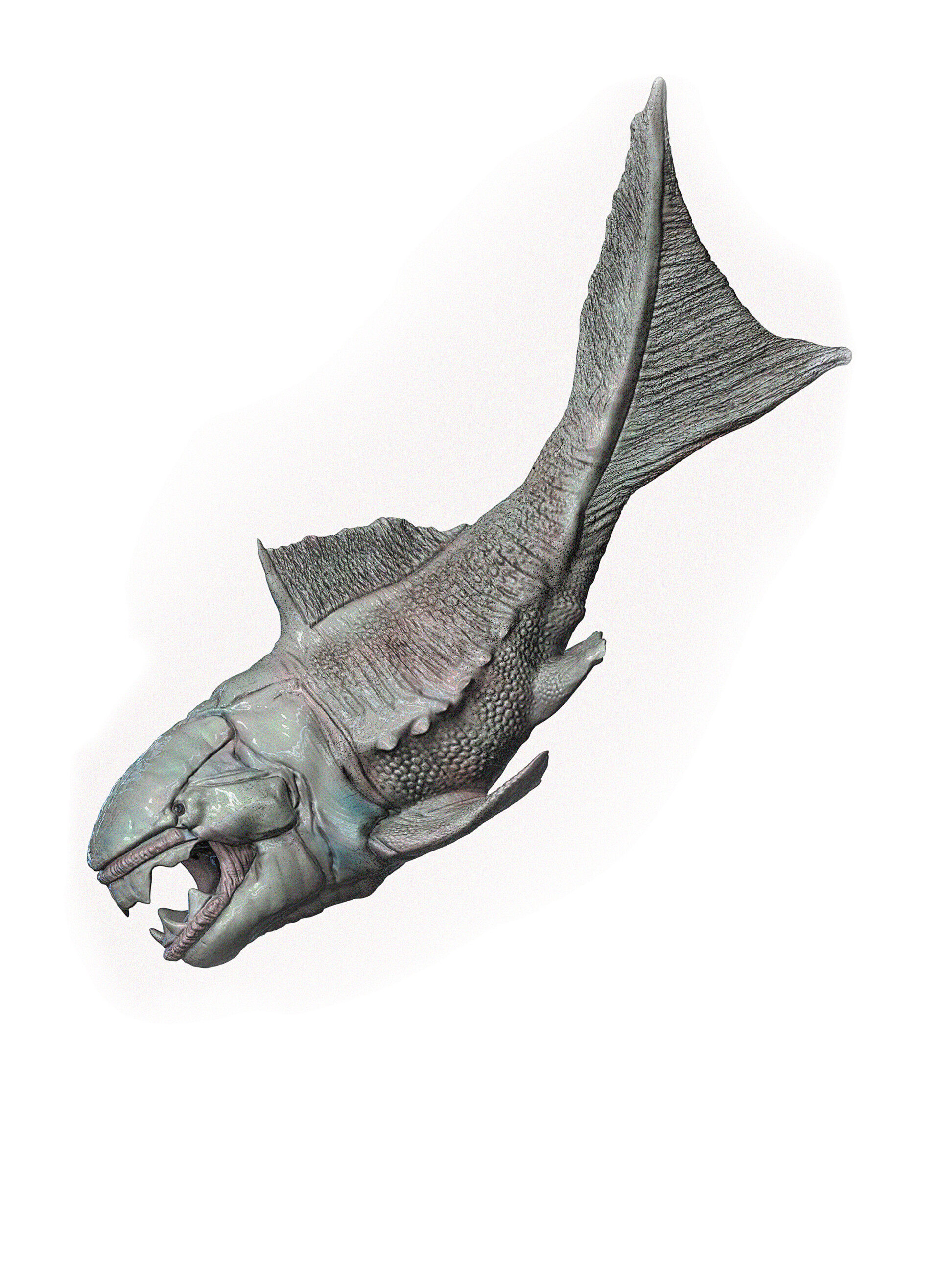 ArtStation - Dunkleosteus sp.