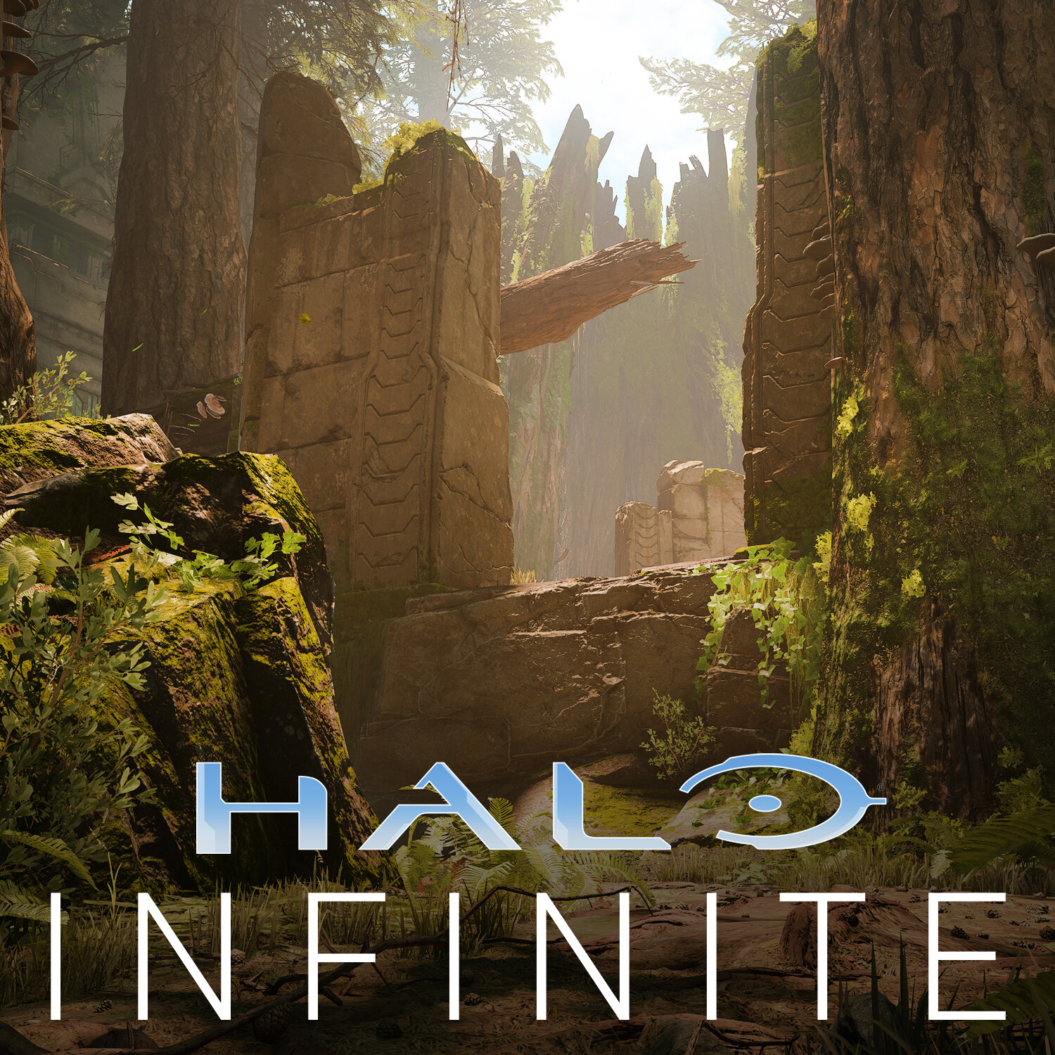 ArtStation - Halo Infinite: Forest
