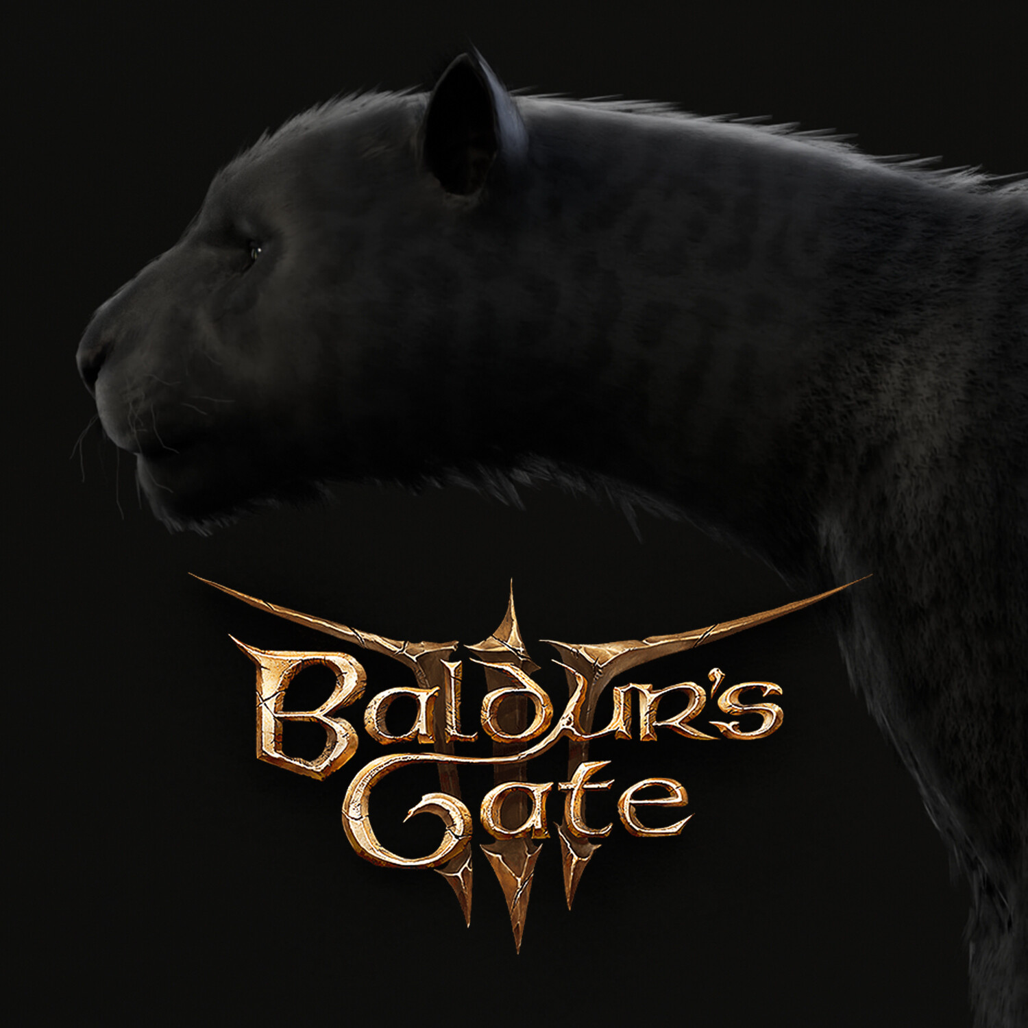 Baldur's Gate 3 - Panther
