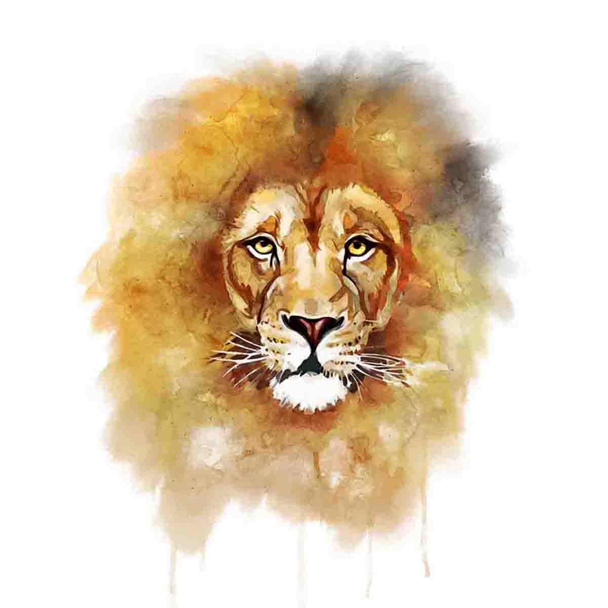 watercolor lion face