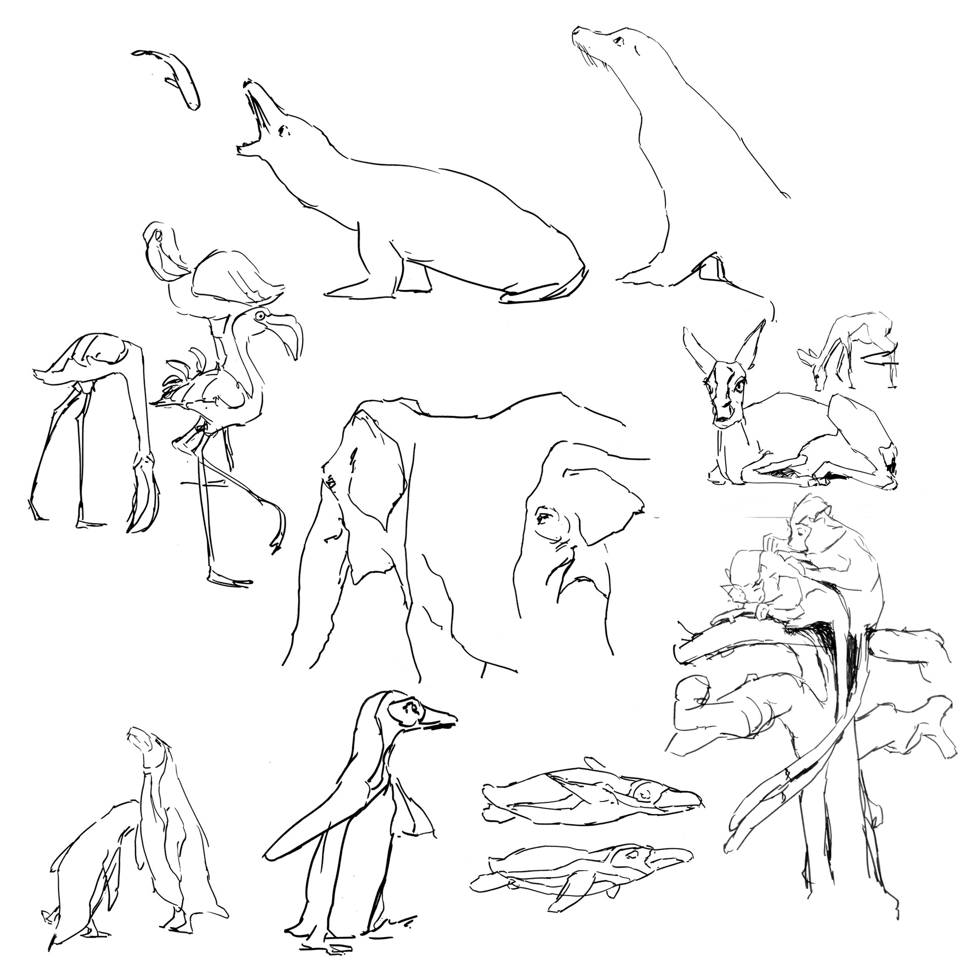 ArtStation - Zoo Sketches