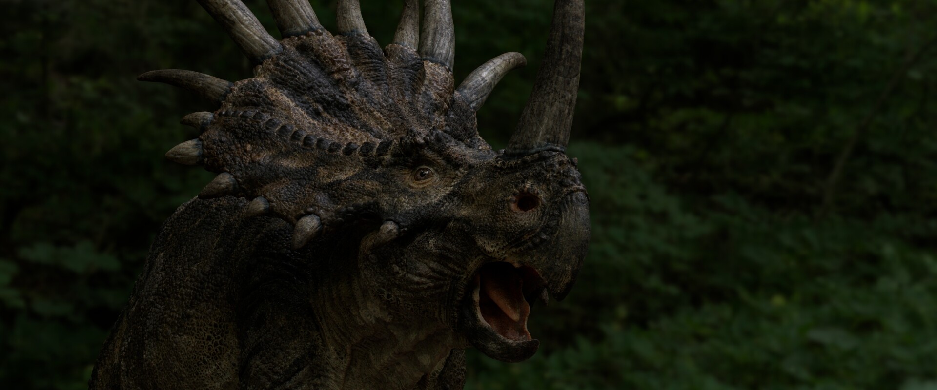 ArtStation - Styracosaurus