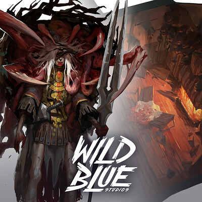 Wild Blue Studios - Portfolio