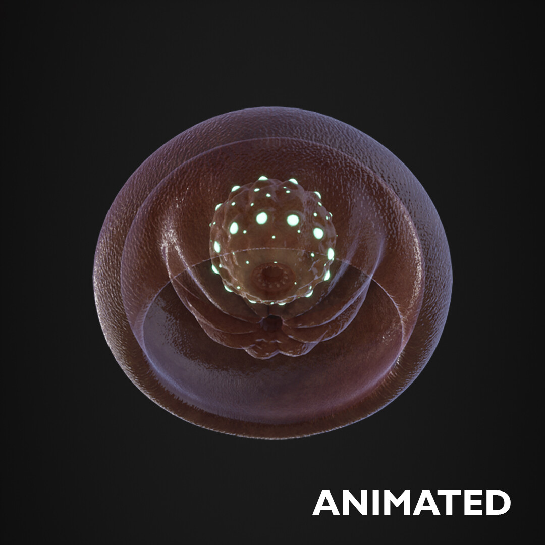 ArtStation - Abyssal Jellyfish - Animated