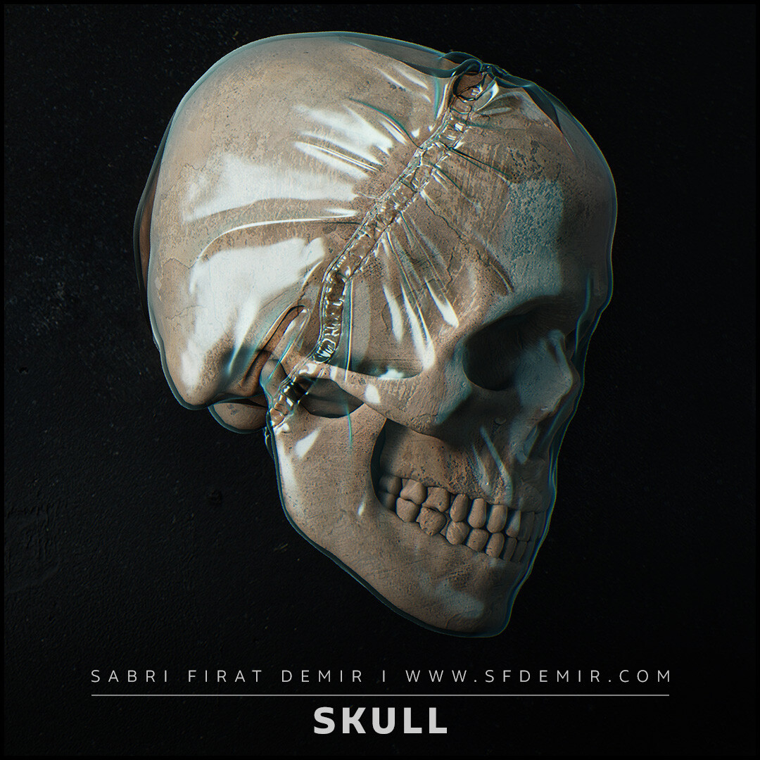 Skull - Covered with Plastic 3D Model