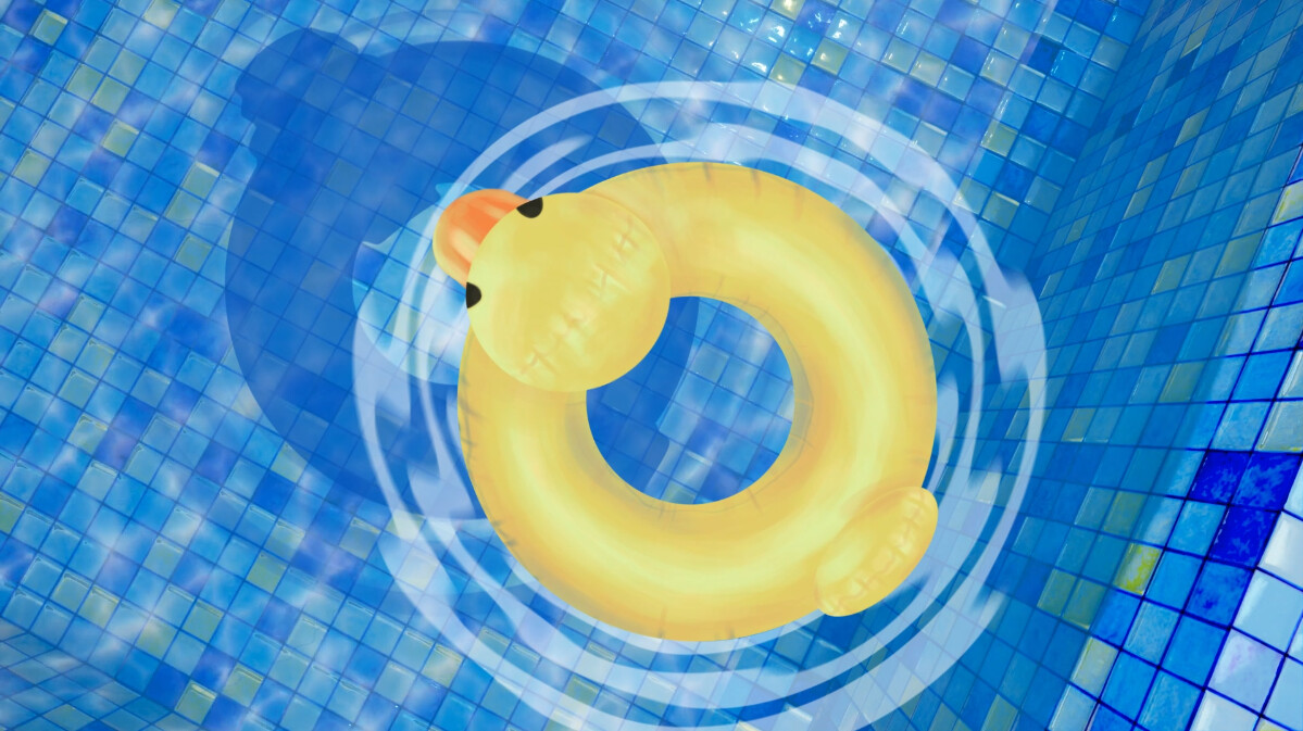 Pool Floatie
