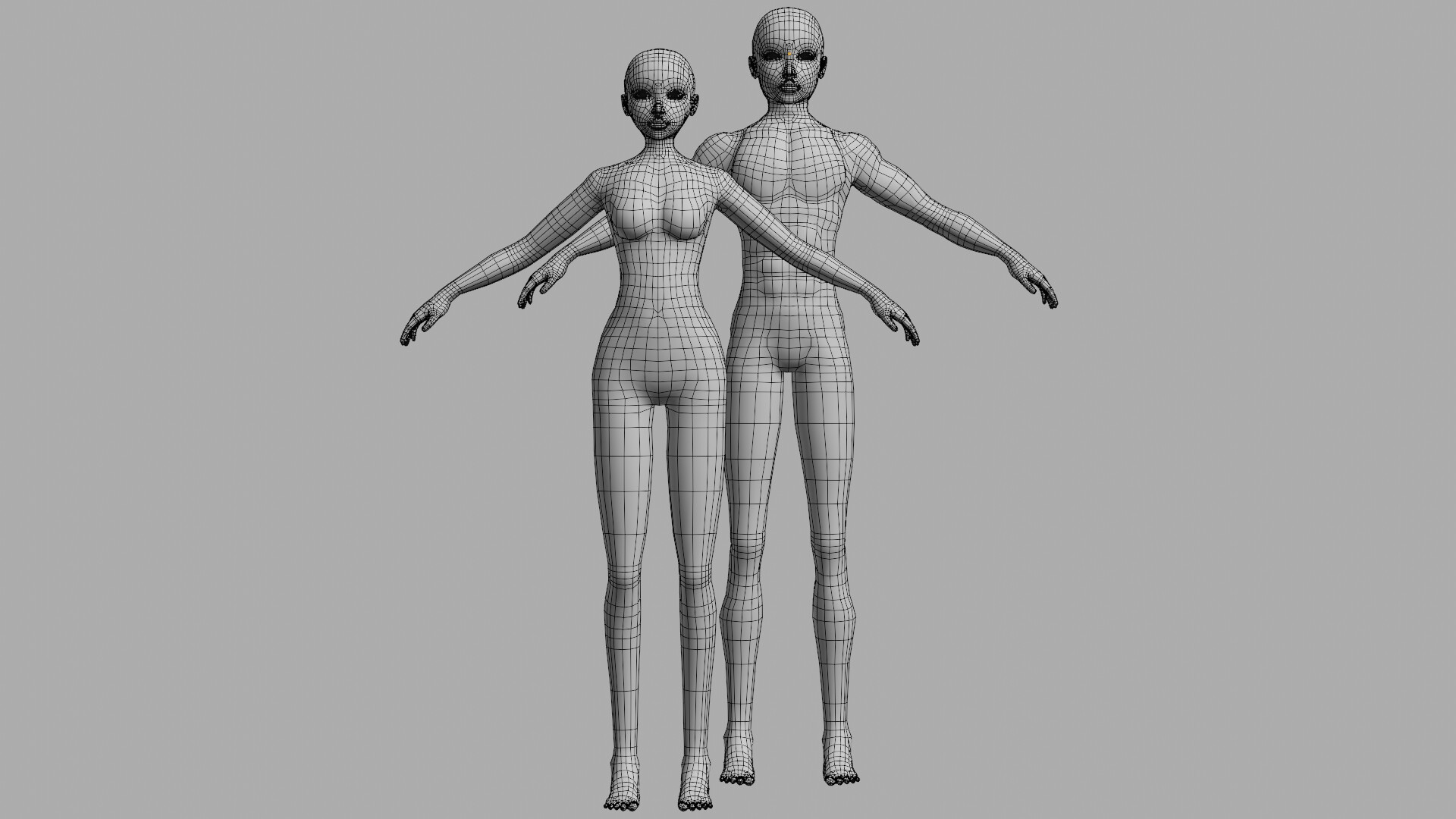 ArtStation - Male & Female Body - Topology