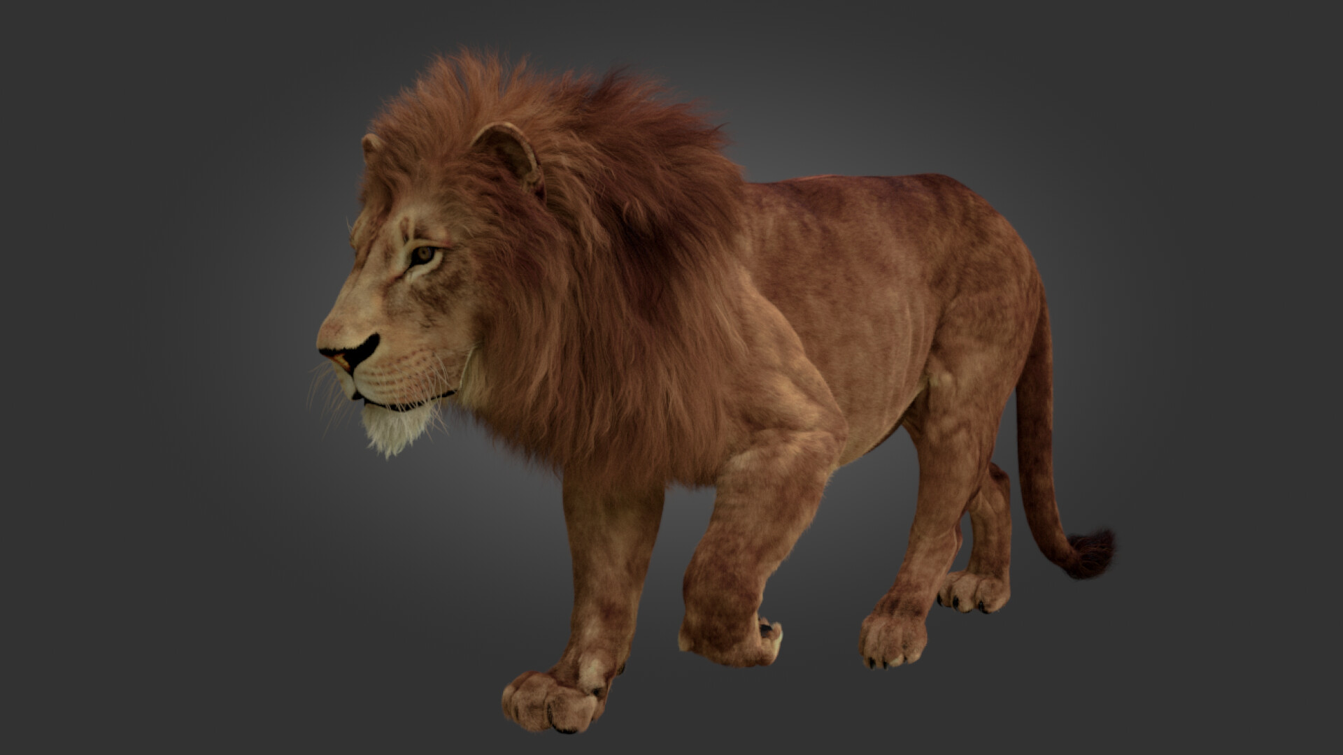 ArtStation - 3D Lion Groom