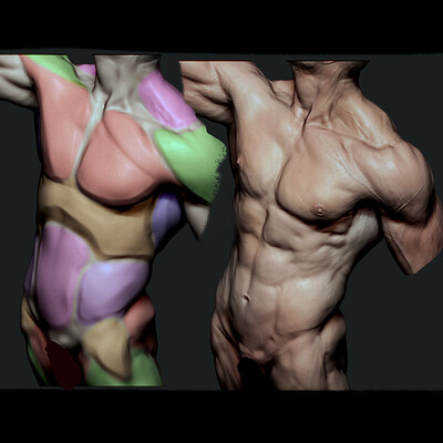 Figure Sculpting Timelapse [Zbrush]